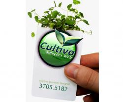 Foto de Cultiva Websites por Cultivaweb em 16/03/2009