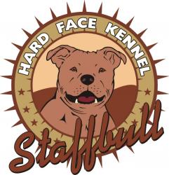 Foto de Adestramento Tio Ricardo Adestrador Hard Face Kennel Staffbull por Hardface em 04/06/2009